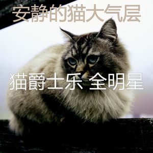 安静的猫在家声音