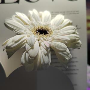 就算miss you也不会是任何人 Prod by Siren