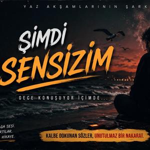 Şimdi Sensizim