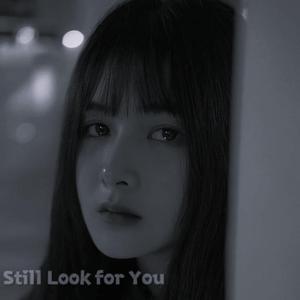 Still Look for You