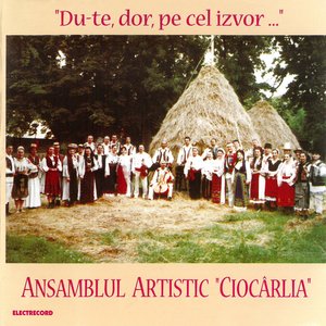 Suită bănățeană