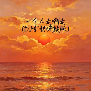 一个人走啊走(DJ车载咚鼓版)