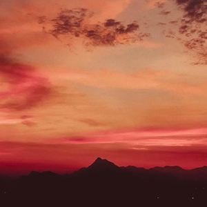 Sunflower-R&B All Night