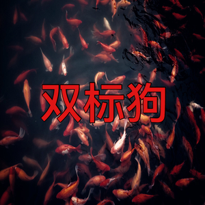 双重标准(DISS 双标狗)