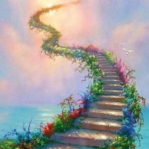 那些花儿