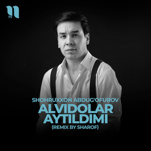 Alvidolar aytildimi (remix)