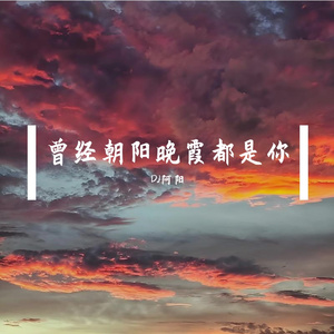 孟杨-曾经朝阳晚霞都是你DJ阿阳版（DJ阿阳 / 孟杨 remix）