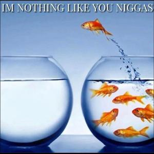 i gotta dream (feat. mrmakeyab***hneel)