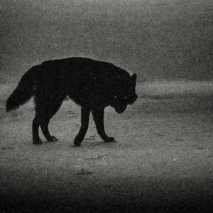 Took Her To The O (HoodTrap)