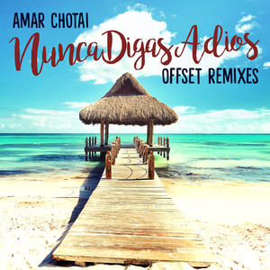 Nunca Digas Adios (Offset Remix)