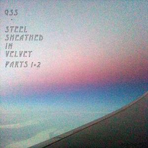 Steel Sheathed In Velvet (Part 2)