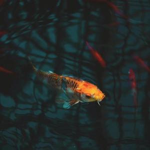 (FREE) "碧影" 中国风 Gunna Type Beat 2023