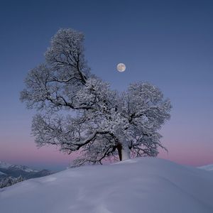 [中国风] "浮光掠影" - CHINA X PLUGGNB TYPE BEAT