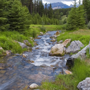 Listening for the Weather