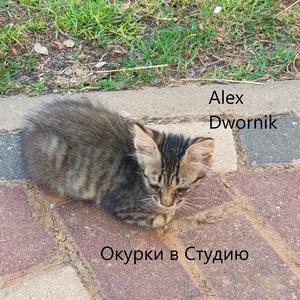 Окурки в Студию