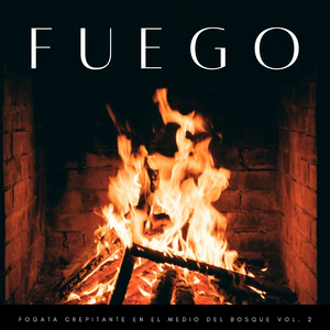 El Fuego Y El Golpe