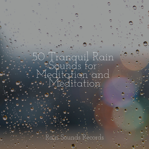 Sparkling Shorescape