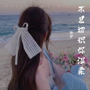 不见初识你温柔 (伴奏)