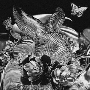 SÖNDÜRDÜM NEFRETİMİ