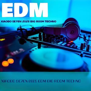 哈尼宝贝（小博 SE7EN Big Techno Edit）