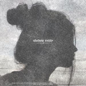 shadow entity