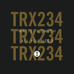 All You Need (Extended Mix)