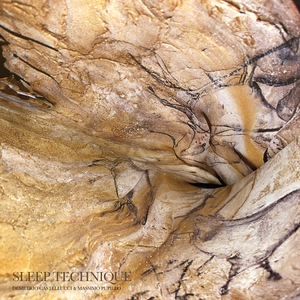 The Venus and the Sorcerer