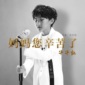 妈妈您辛苦了 (DJ默涵版)