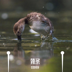 成都（cover赵雷）（翻自 赵雷）