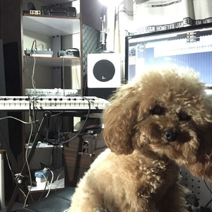 Someone like u cover（翻自 Adele）