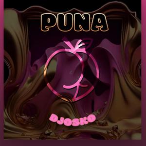 Puna