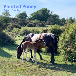 Painted Poney
