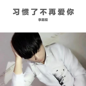 习惯了不再爱你