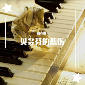 贝多芬的悲伤