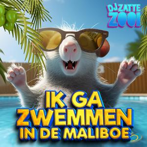 Ik ga zwemmen in de Maliboe