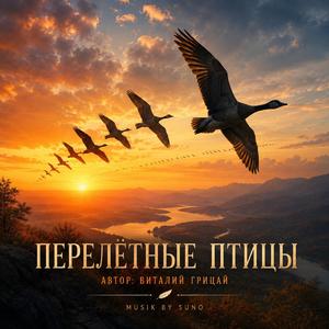 Перелётные птицы