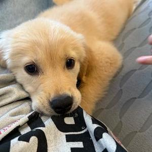 不要忘记我爱你 (0.95X 马嘉义 Remix)