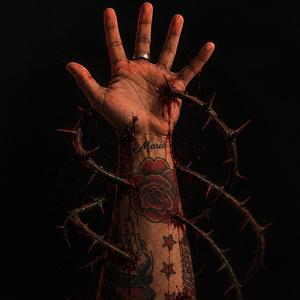 Thorns