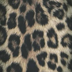 Cheetah Print