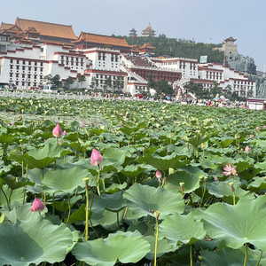 好喜欢和你天长地久1.wav