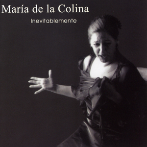 Andalucía Me Espera