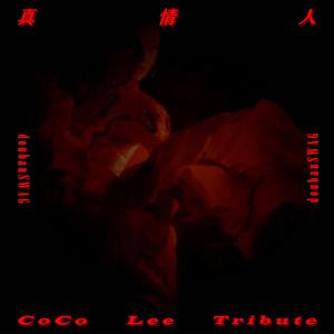 真情人 (CoCo Lee Tribute)