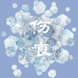 伤痕（Cover 胡彦斌）