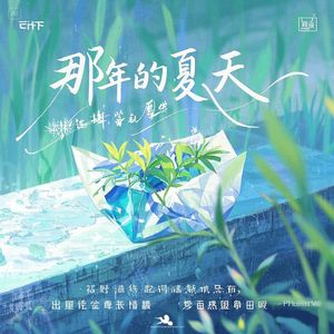 那年的夏天