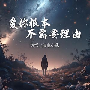 爱你根本不需要任何理由