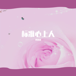 标准心上人