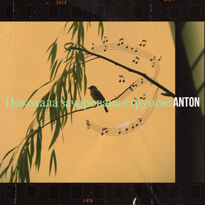 Покохала зачарована струною