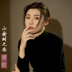 山楂树之恋 (dj版伴奏)