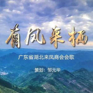 有凤来栖