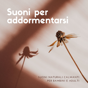 Concentrazione armonica